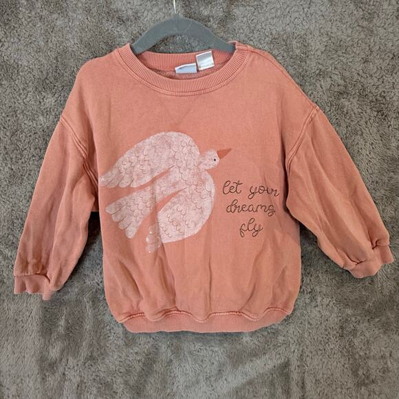 Zara Sweatshirt Graphic Let Your Dreams Fly Toddler Girls 3-4 Years 3T 4T - Picture 1 of 7